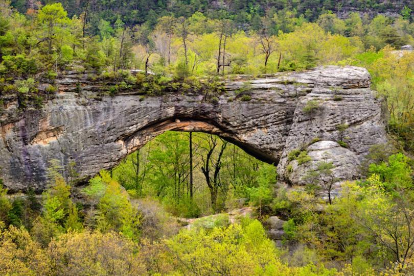 Big South Fork Trail Lodge Stearns Екстер'єр фото